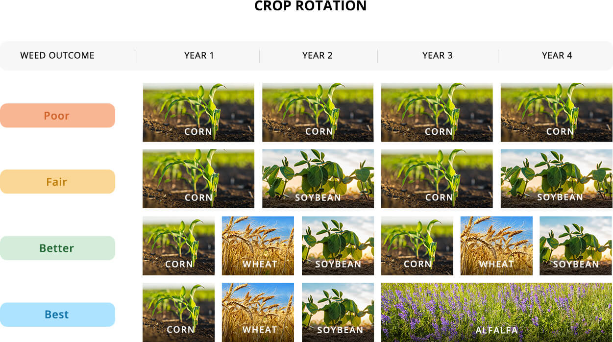 Upload crop. Crop rotation. Crop примеры. Crop перевод. . Crop rotation and following.