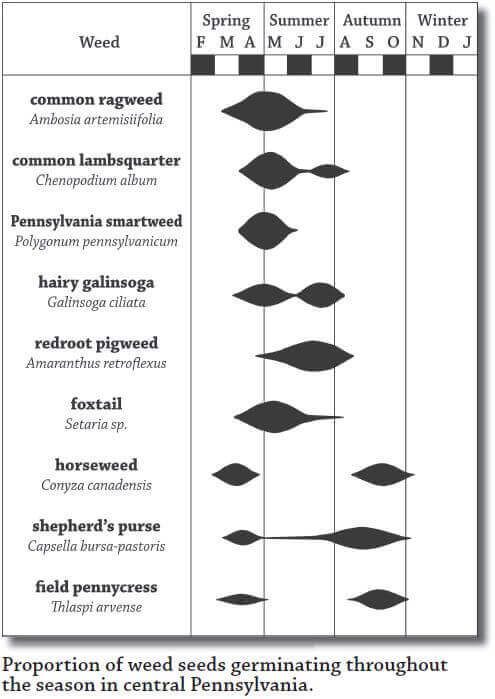 Seed germination chart