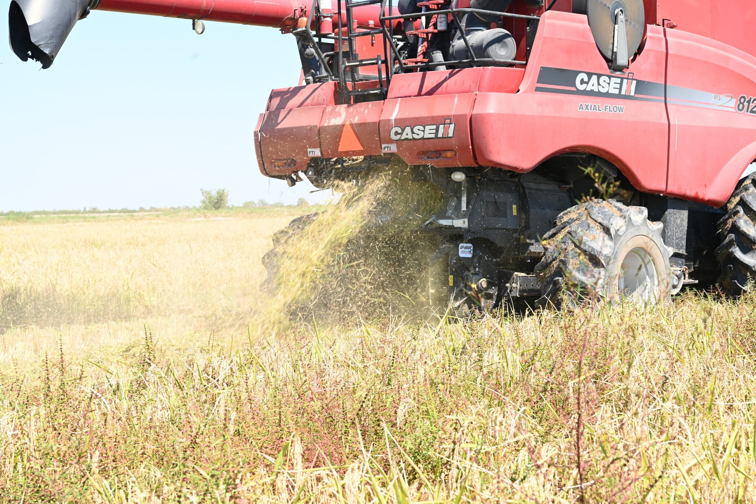 Texas Rice Farmer Tries Out iHSD to Halt Weed Seedbank - Getting Rid Of ...
