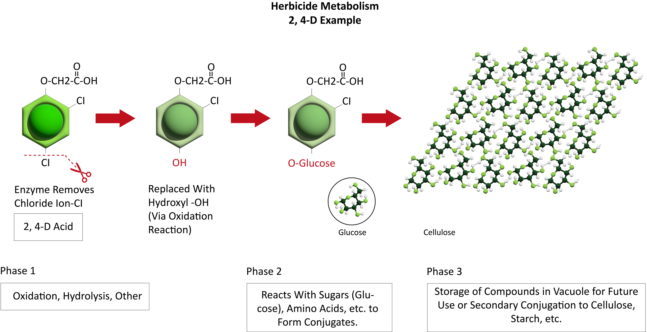 Take Action’s 2025 Herbicide Classification Chart Now Available