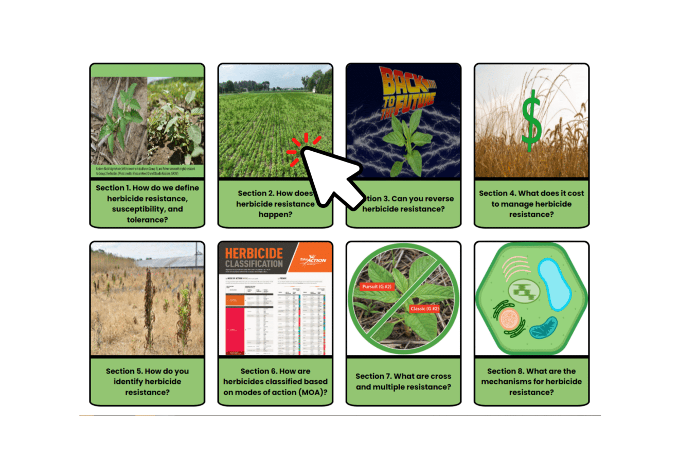 Meet Grow’s New Page The Basics Of Herbicide Resistance Getting Rid Of Weeds