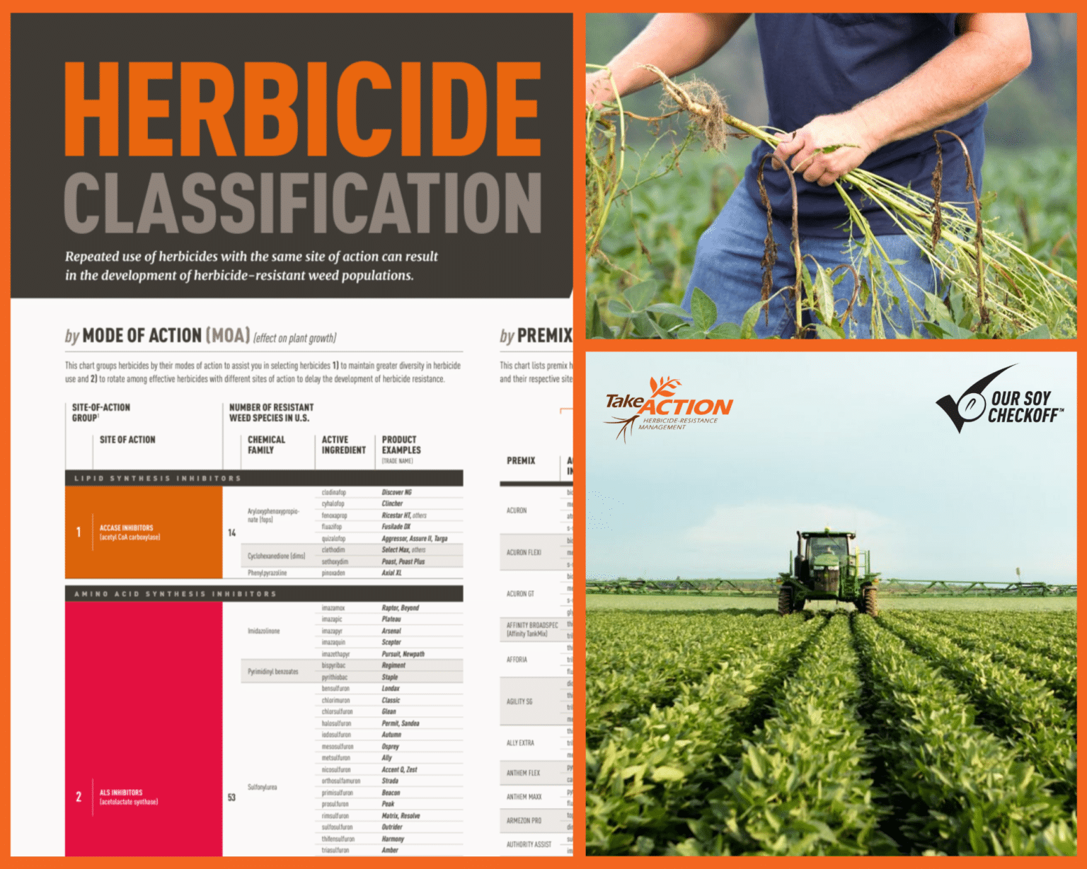 Take Action’s 2025 Herbicide Classification Chart Now Available