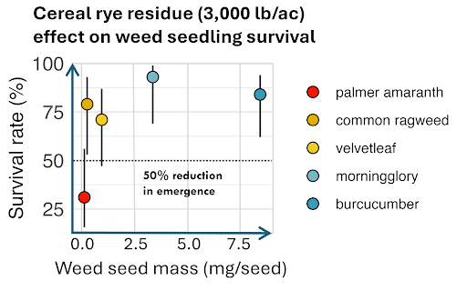 Cereal rye dry matter effect on Palmer amaranth