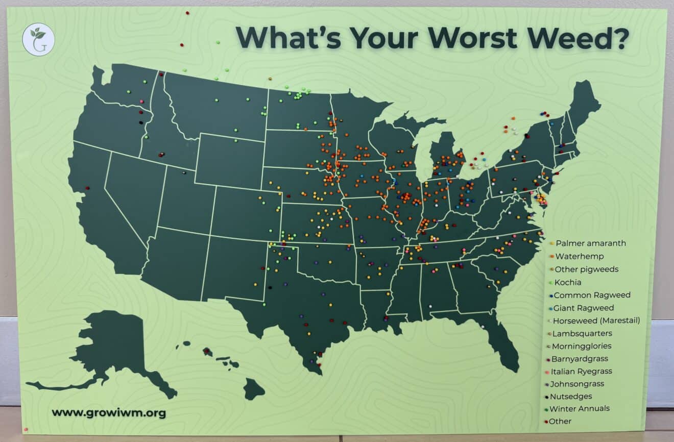 Farmers Crown Waterhemp “Worst Weed” at Commodity Classic - Getting Rid ...